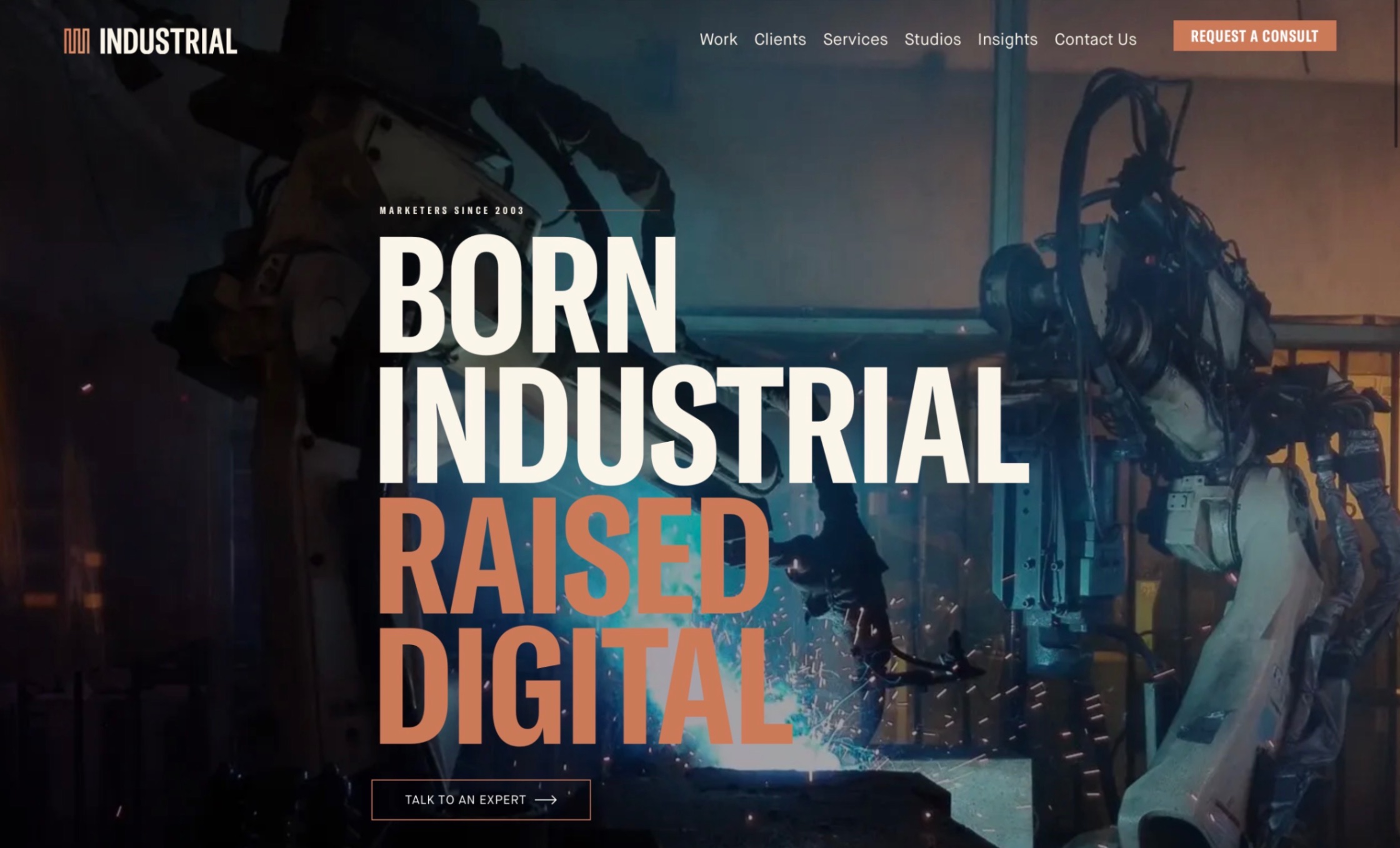 Industrial Strength Marketing Homepage Screenshot