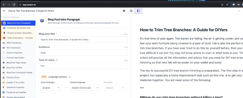Jasper dashboard screenshot