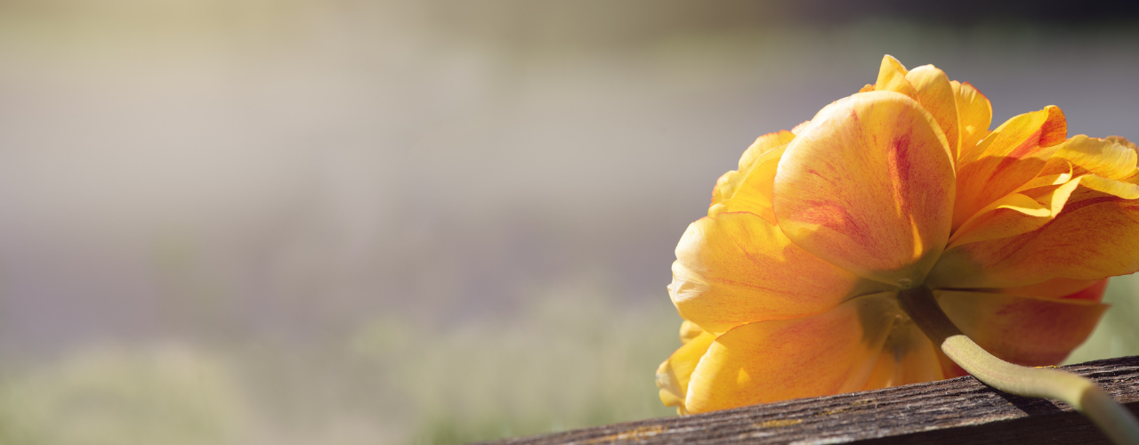 messages from grace fishers church