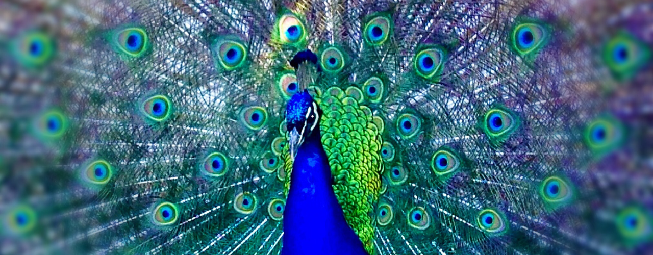 messages from grace fishers church