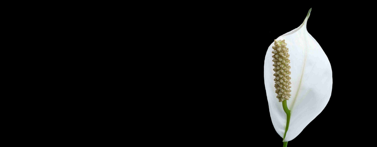 messages from grace fishers church