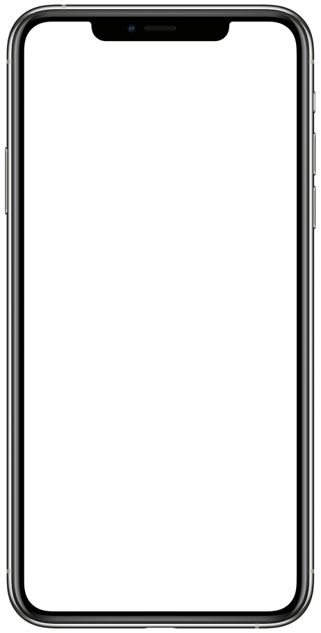 Animation of Raflin user flow