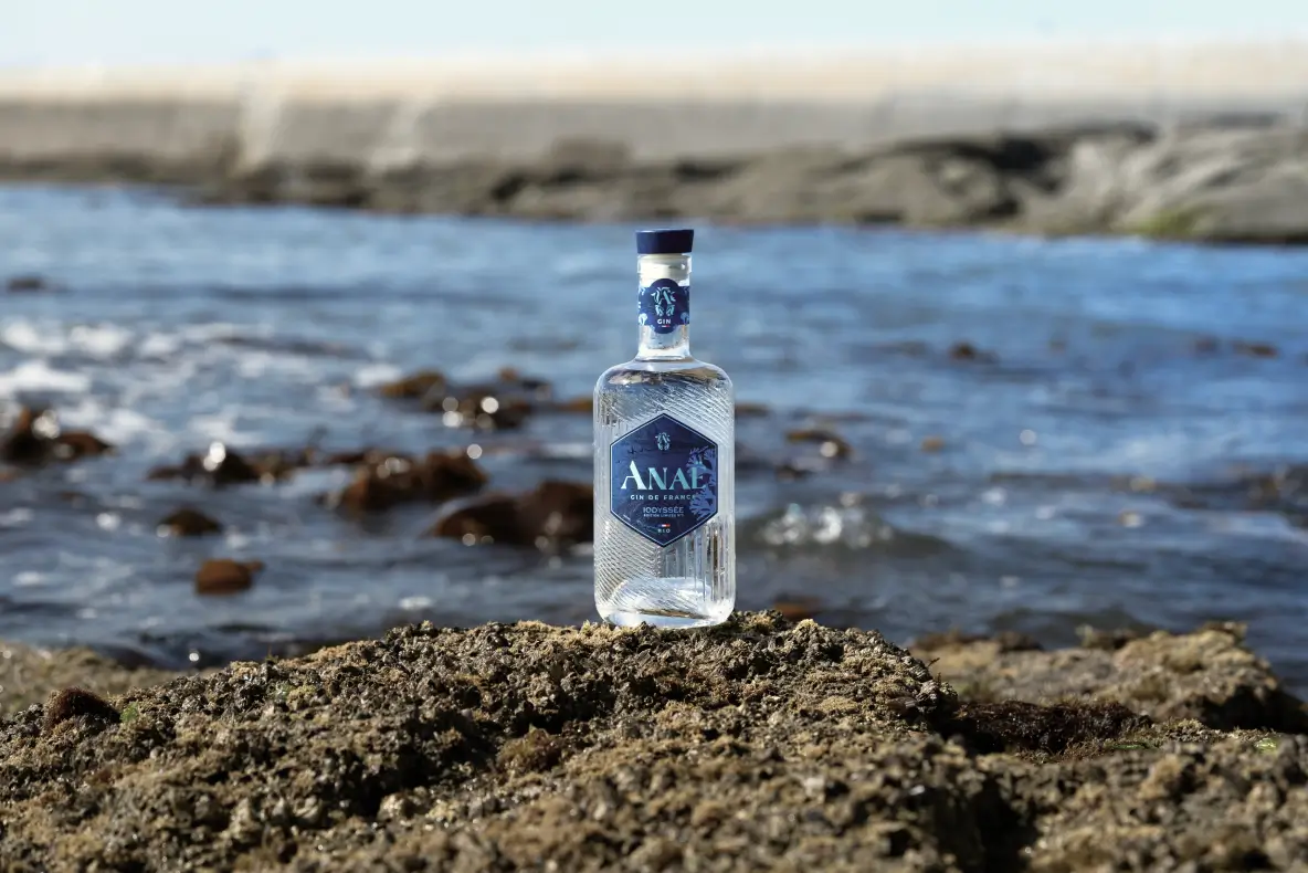 Bouteille de gin Anaë Iodysée bio posée sur un rocher face à l’océan