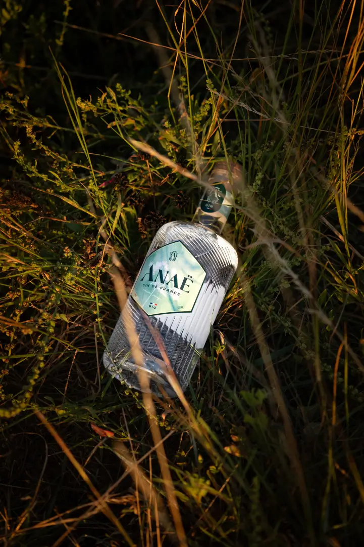 Bouteille de gin Anaë bio posée dans les herbes sauvages en pleine nature