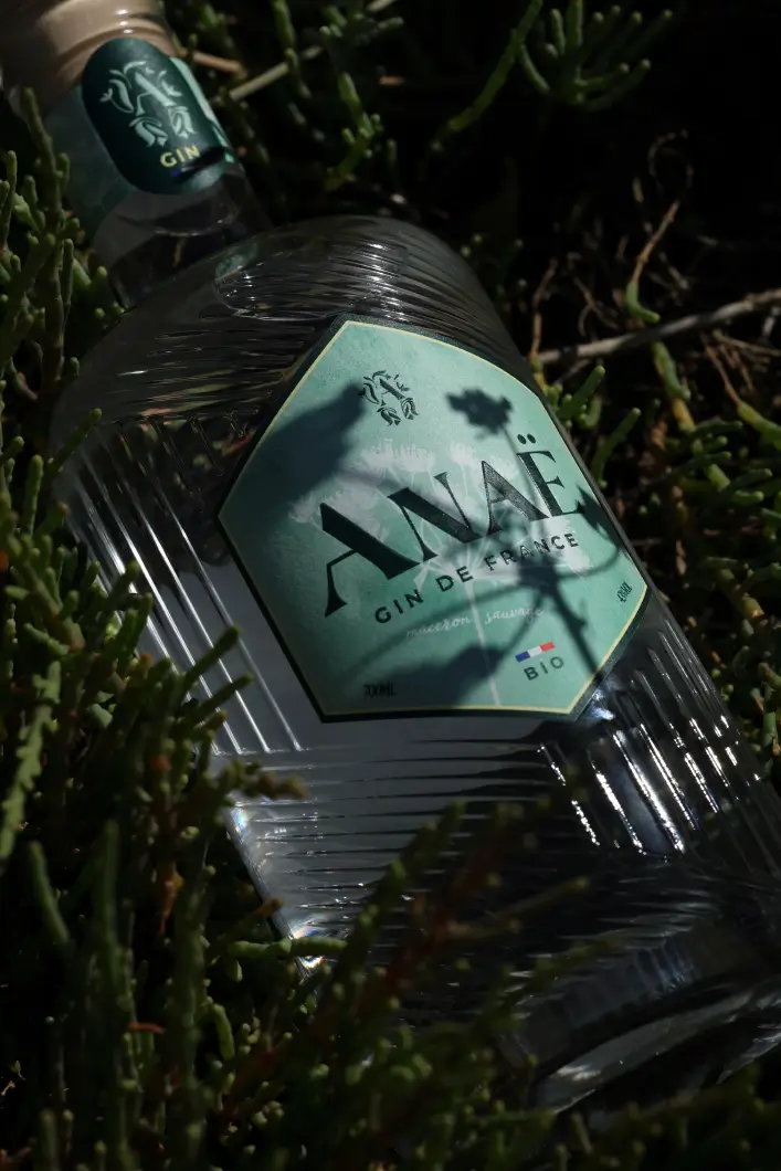 Bouteille de gin Anaë bio, gin de France posée dans un décor botanique naturel