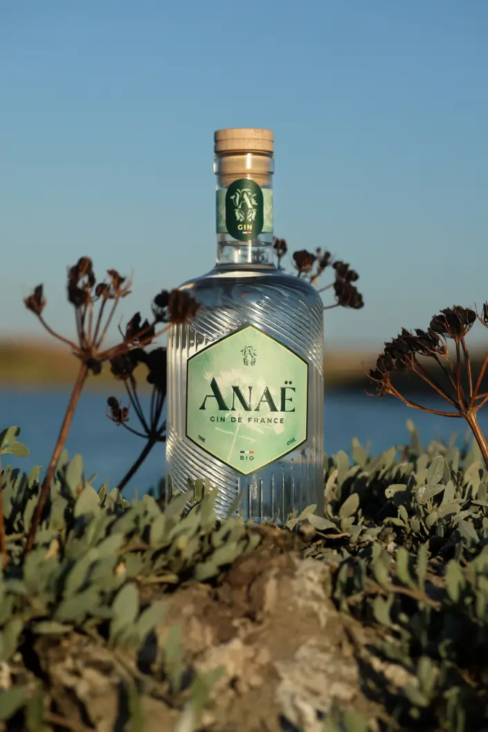 Bouteille de gin Anaë bio, gin de France photographiée en pleine nature