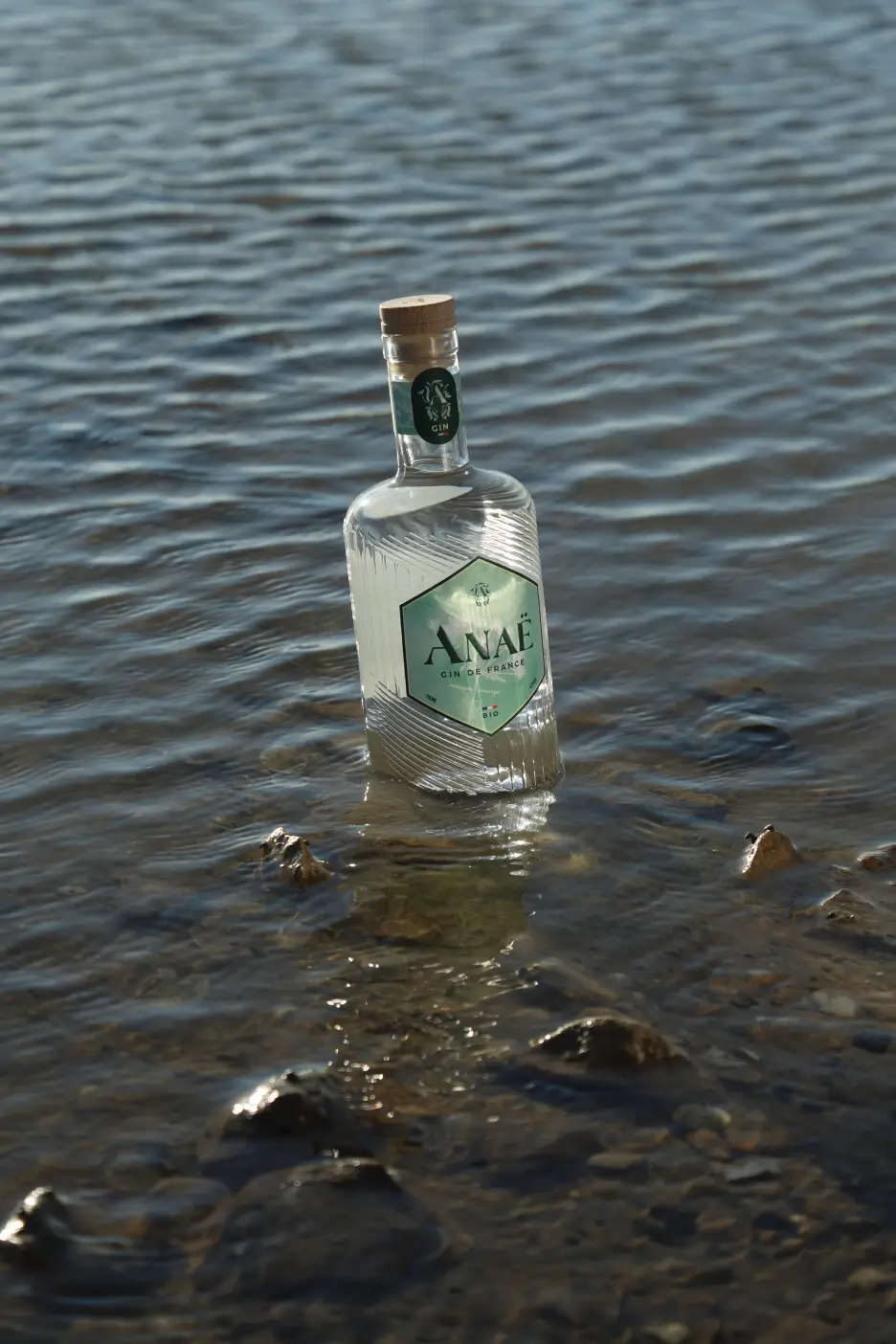 Bouteille de gin Anaë bio posée dans l’eau, reflet de son inspiration naturelle