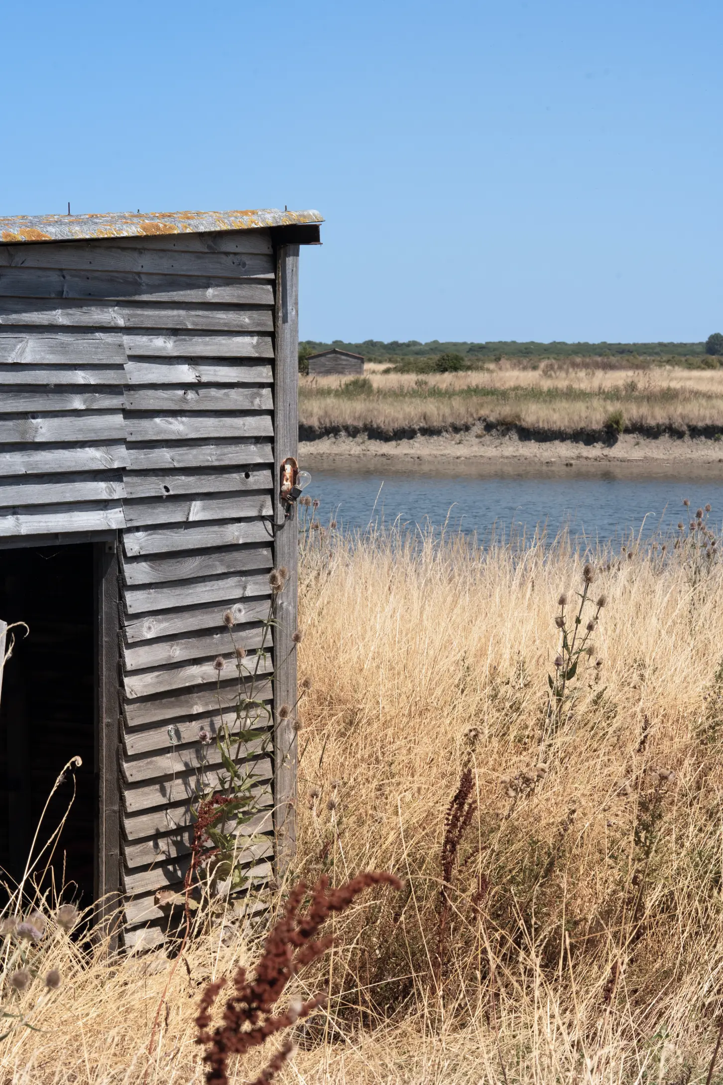 Ferme des Baleines au bord de l’eau sur l’île de Ré, paysage inspirant du gin Anaë