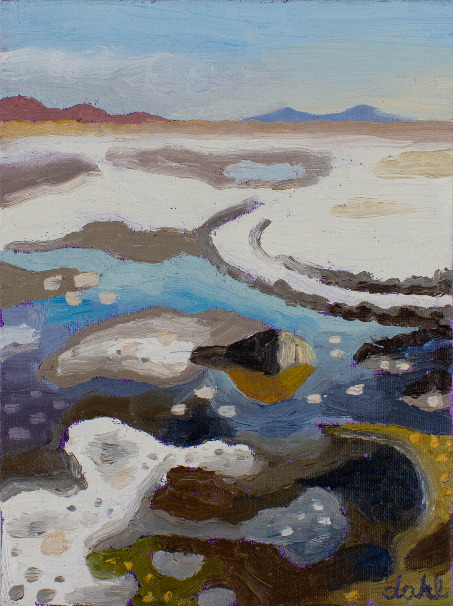 Great Salt Lakebed