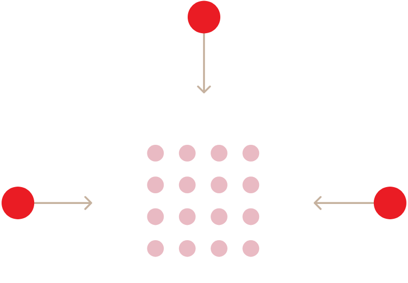 IT & Digital Teams