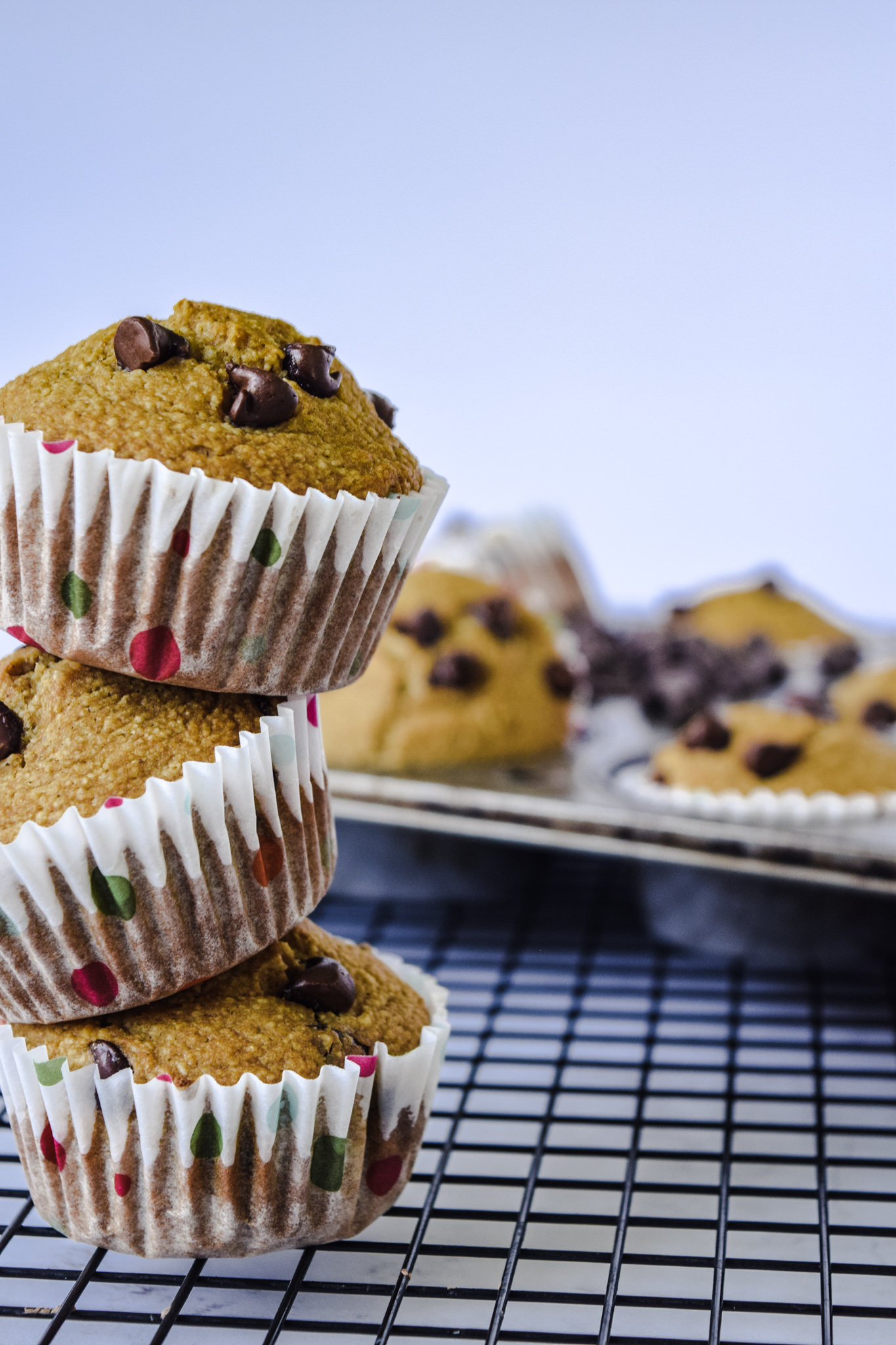 Gluten Free Chocolate Chips Muffins