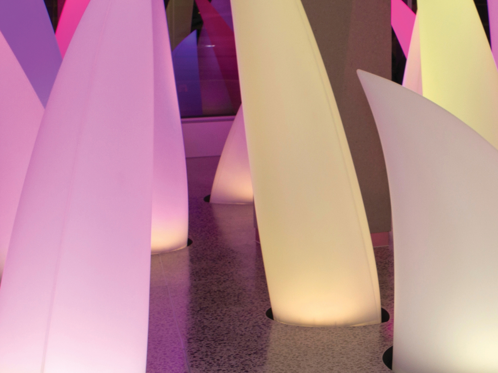 Illuminated curved light sculptures installed on a polished floor