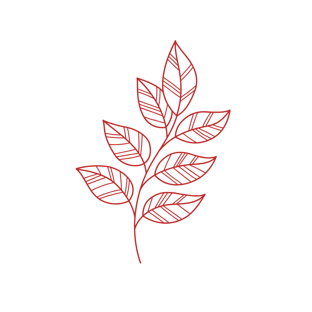 Skin-Safe techniques at waxing threading toronto salon