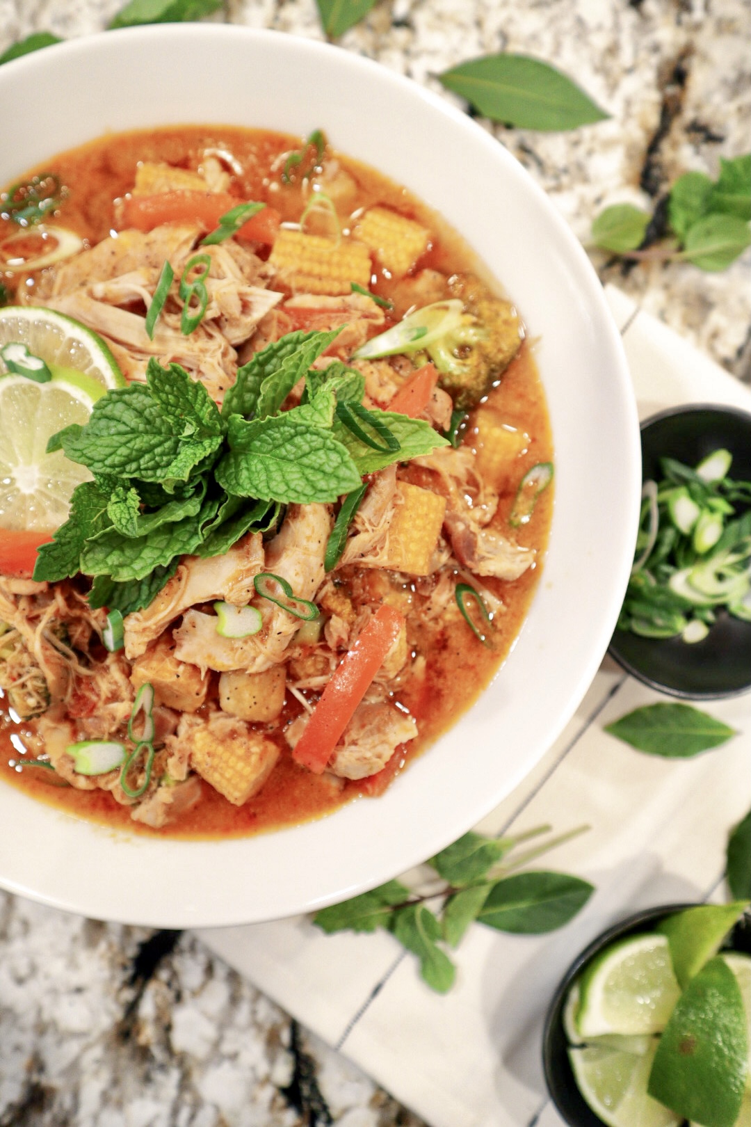 Slow Cooker Thai Coconut Curry Chicken Thighs with Mixed Vegetables