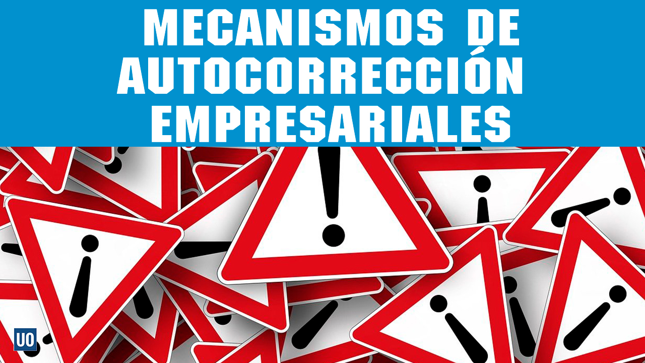 Mecanismos de autocorreción en los sistemas de información empresarial