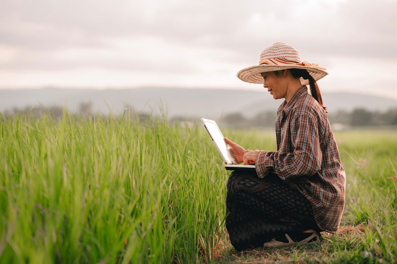 Engage with the Knowledge Impact Network