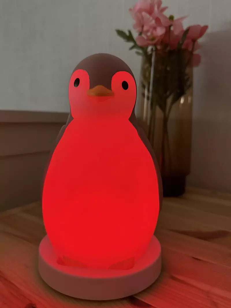 Zazu Pam Søvntrener