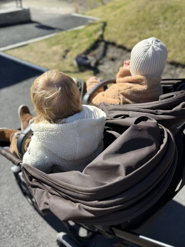Bugaboo Donkey 6