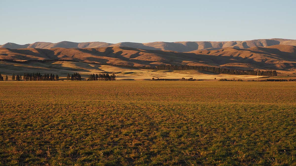 Film Otago Southland