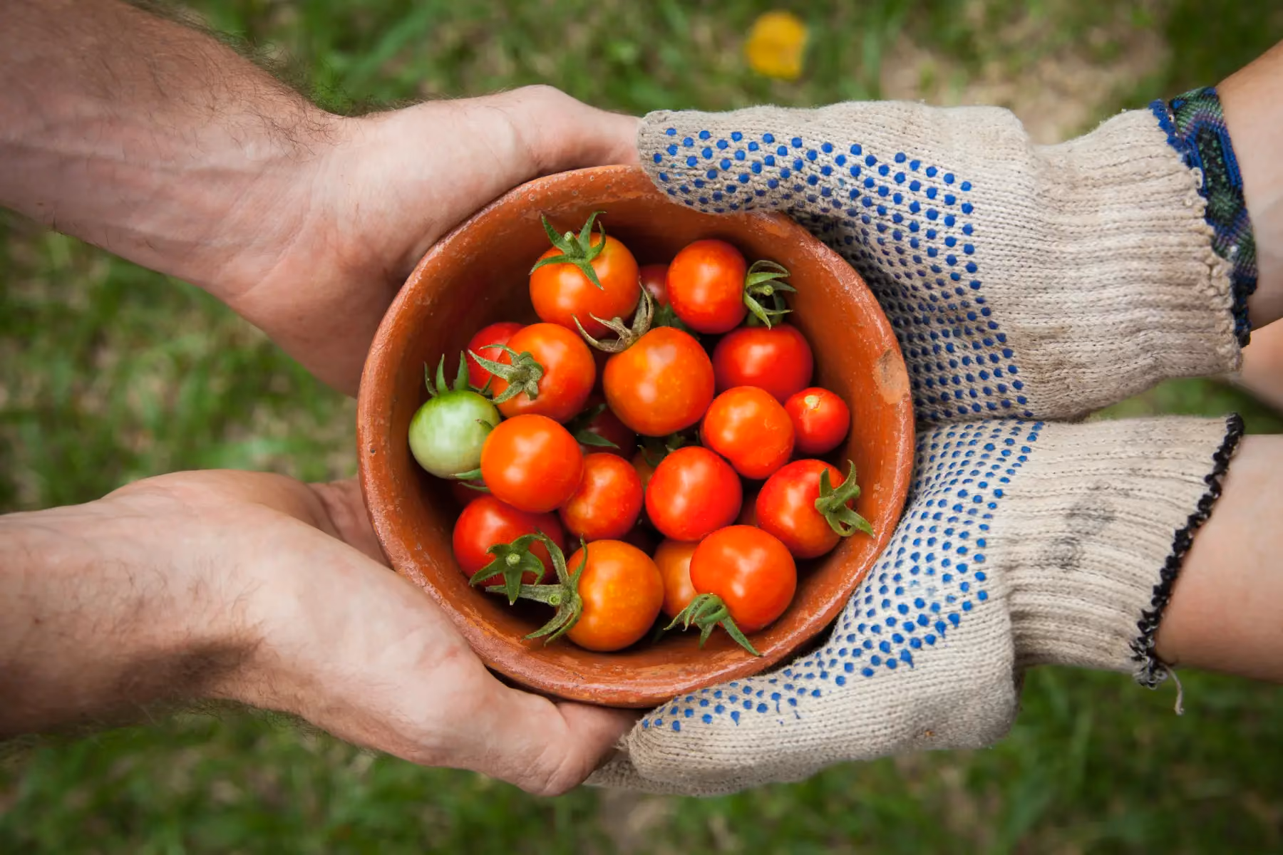 Comment déployer une stratégie de communication efficace dans l’agroalimentaire grâce au Brand Management ?