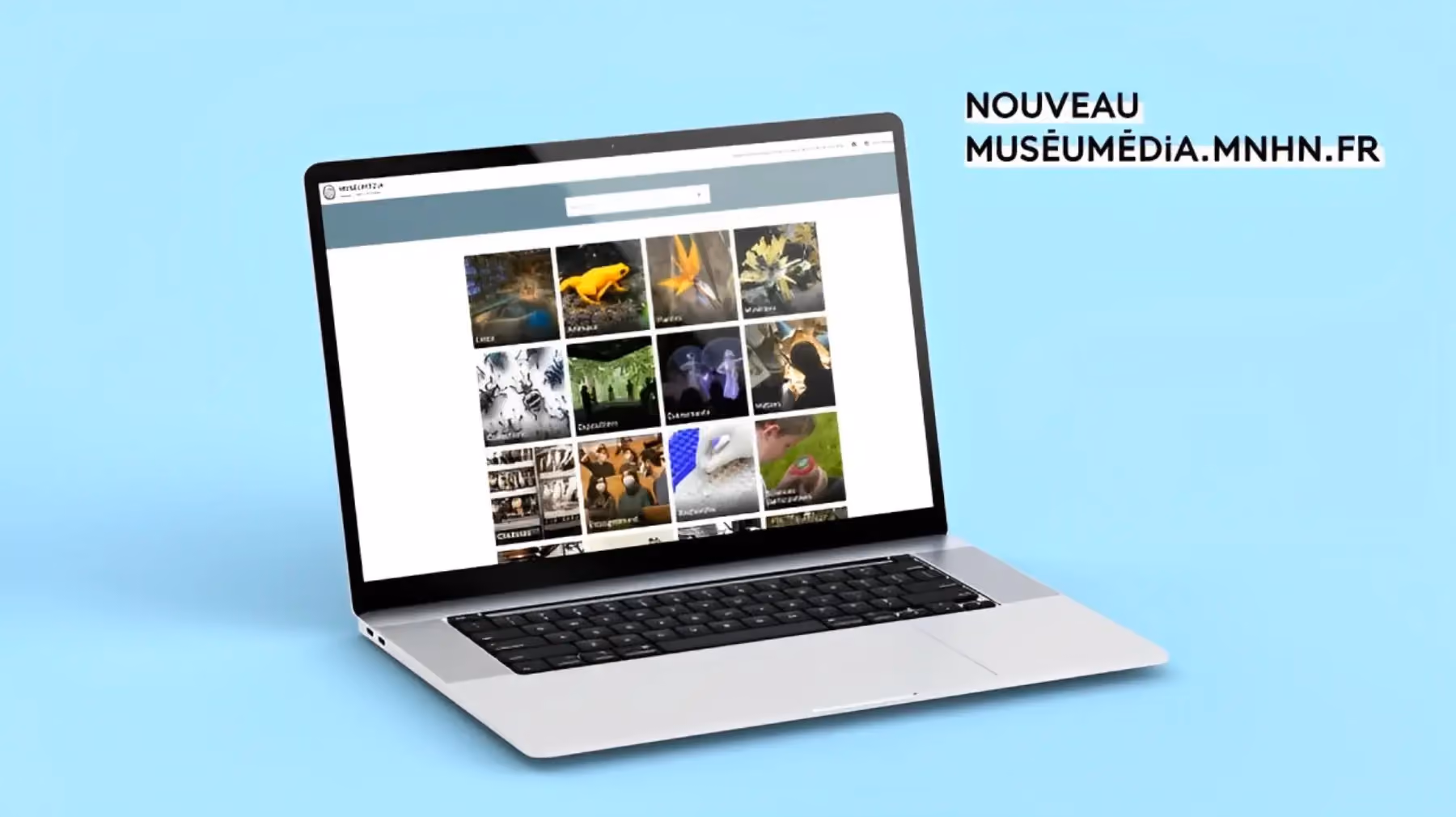 Comment le MNHN a-t-il rationalisé la gestion de ses médias grâce au DAM Keepeek ?