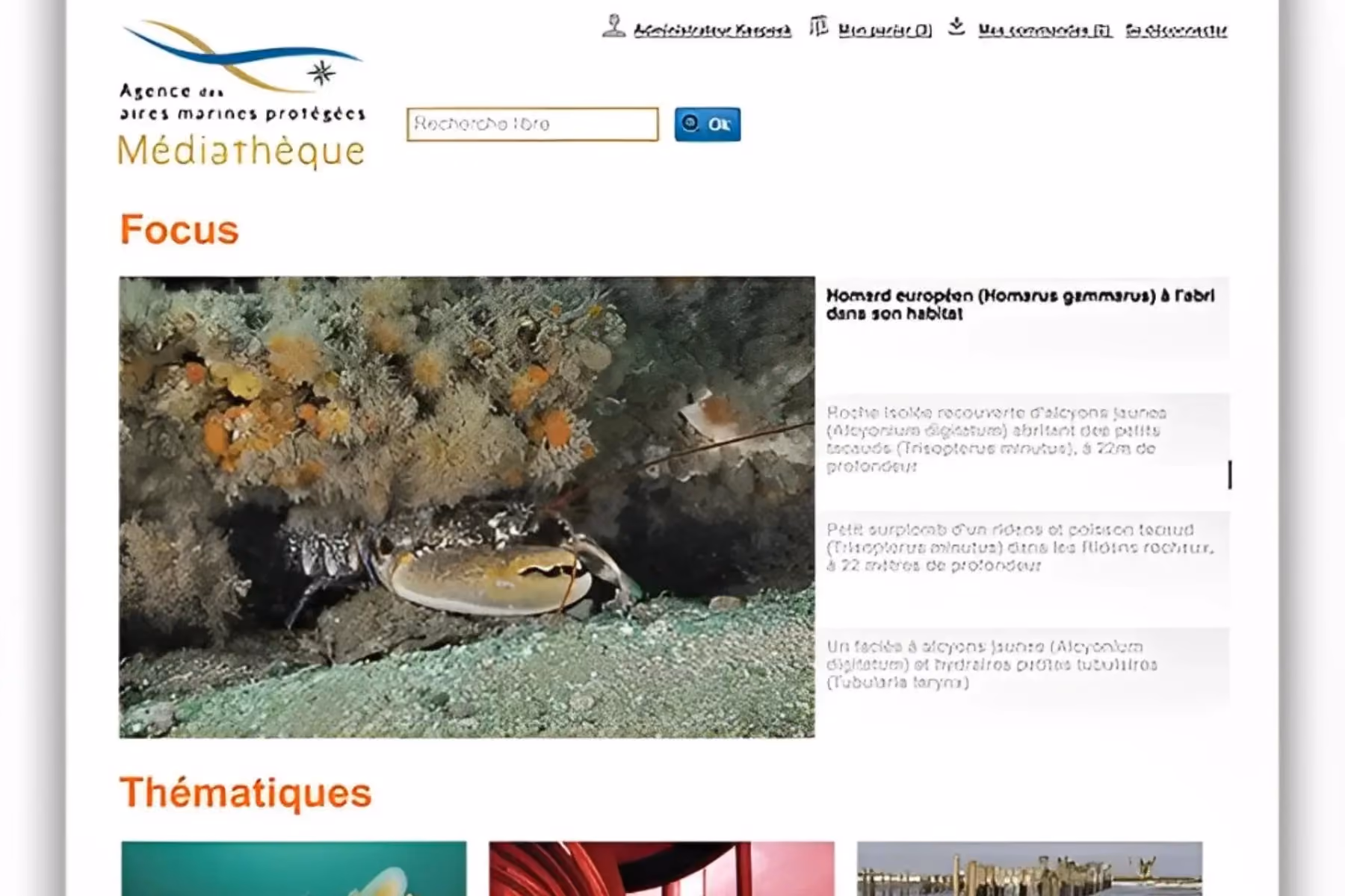Agence des Aires Marines Protégées (French Marine Protected Areas Agency): enhancing the value of marine iconography with DAM Keepeek