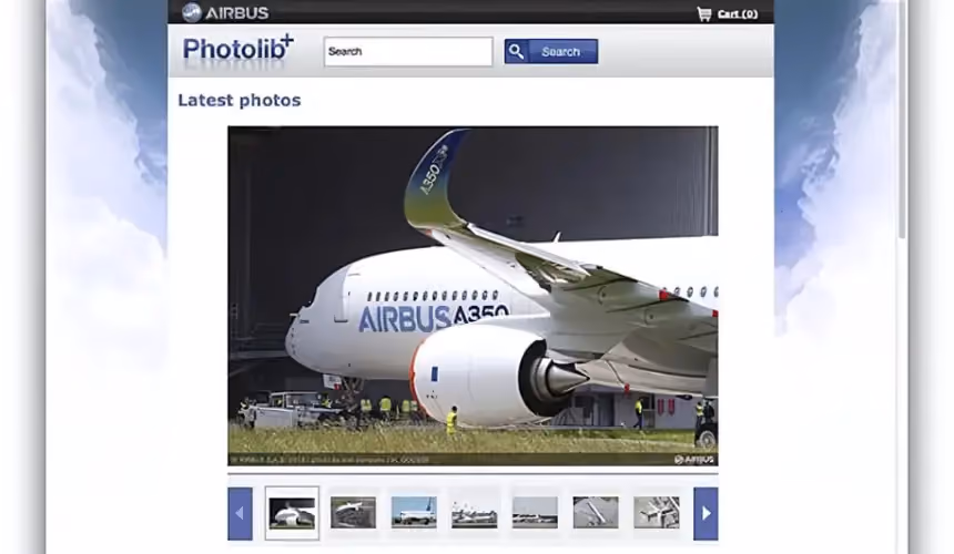 Airbus DAM portal