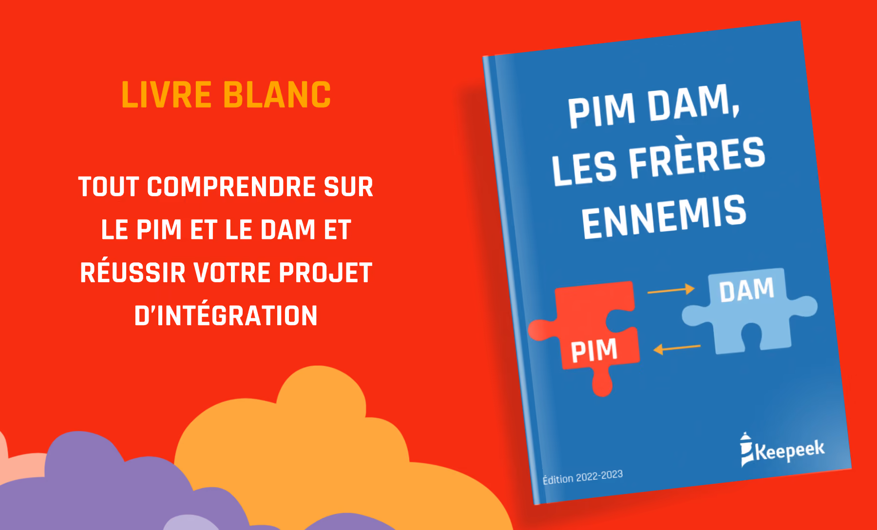PIM/DAM, the enemy brothers: discover our white paper