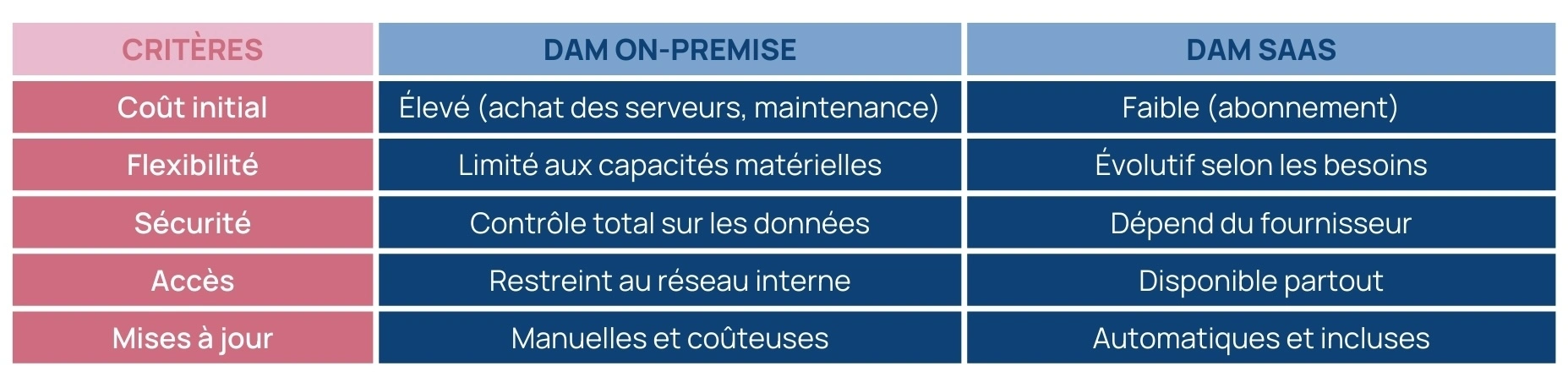 Quels sont les différents types de solutions DAM ?