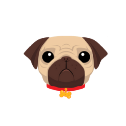 Pug