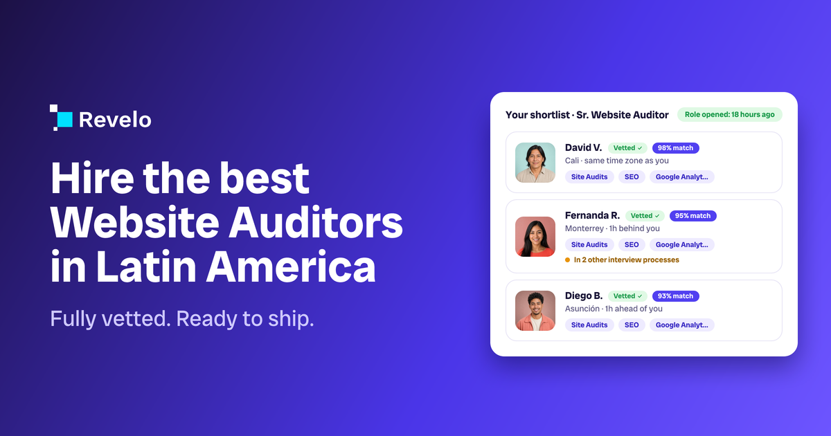 Website Auditors