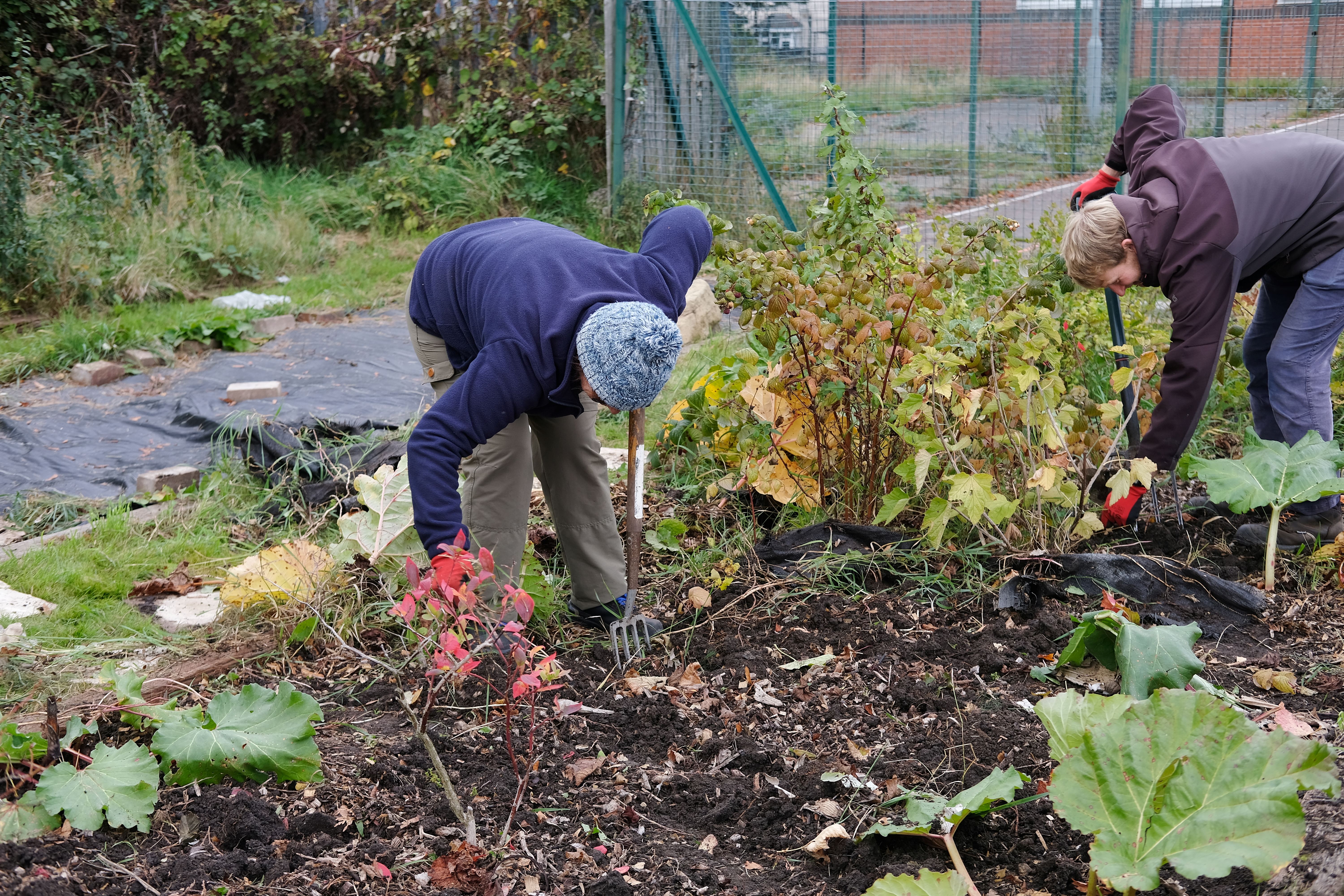 Two people digging in a community garden