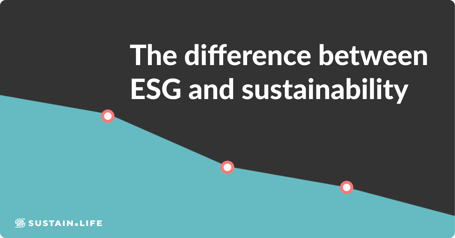 Sustainability and working from home