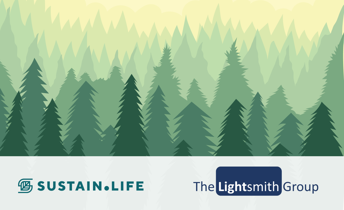 Sustainability in Healthcare