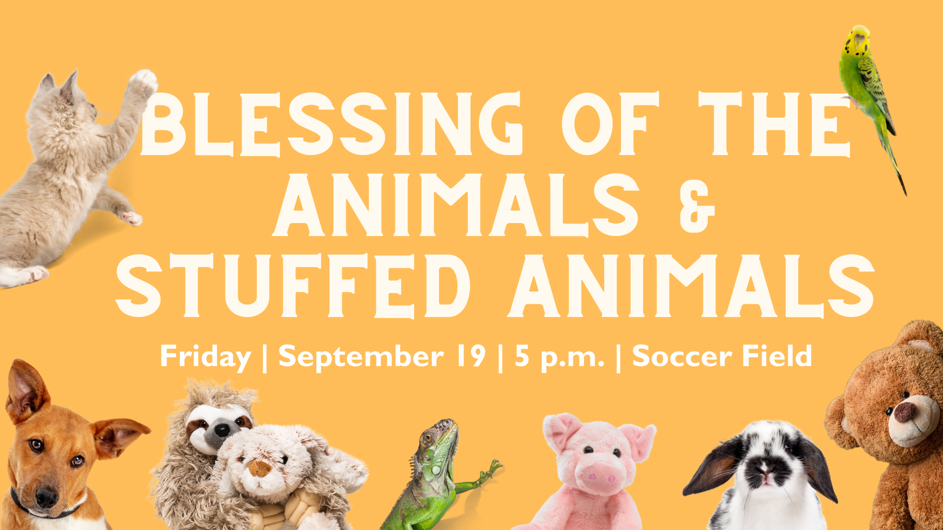 Blessing of the Animals and Stuffed Animals