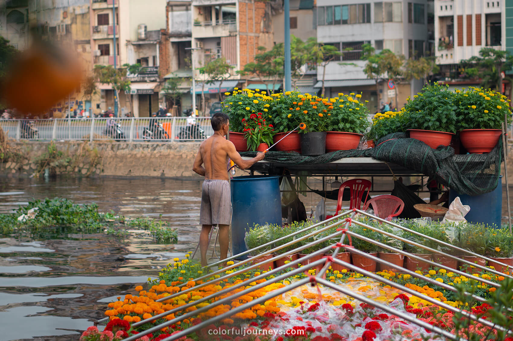 A man waters his flowers in preparation for Tet. 