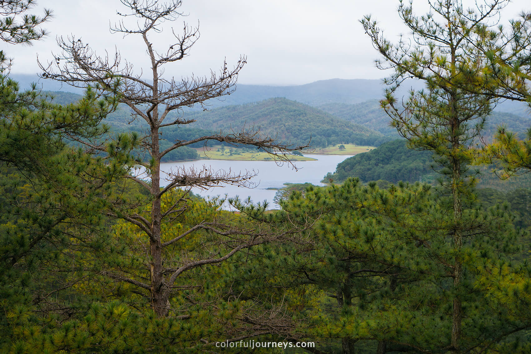 Colorful trees agains mountains in Dalat, Vietnam. 