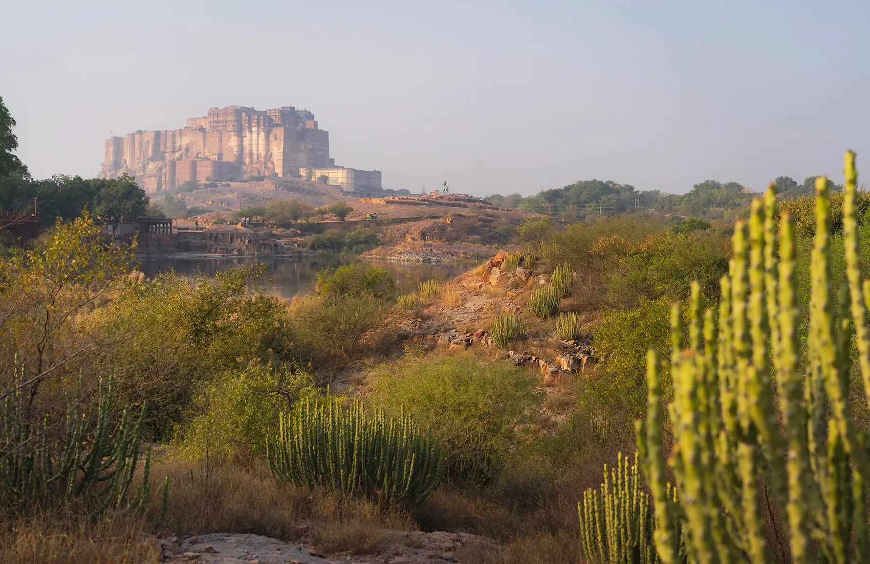 Rao Jodha rock park and Mehrangarh fort in the background in Jodhpur, India