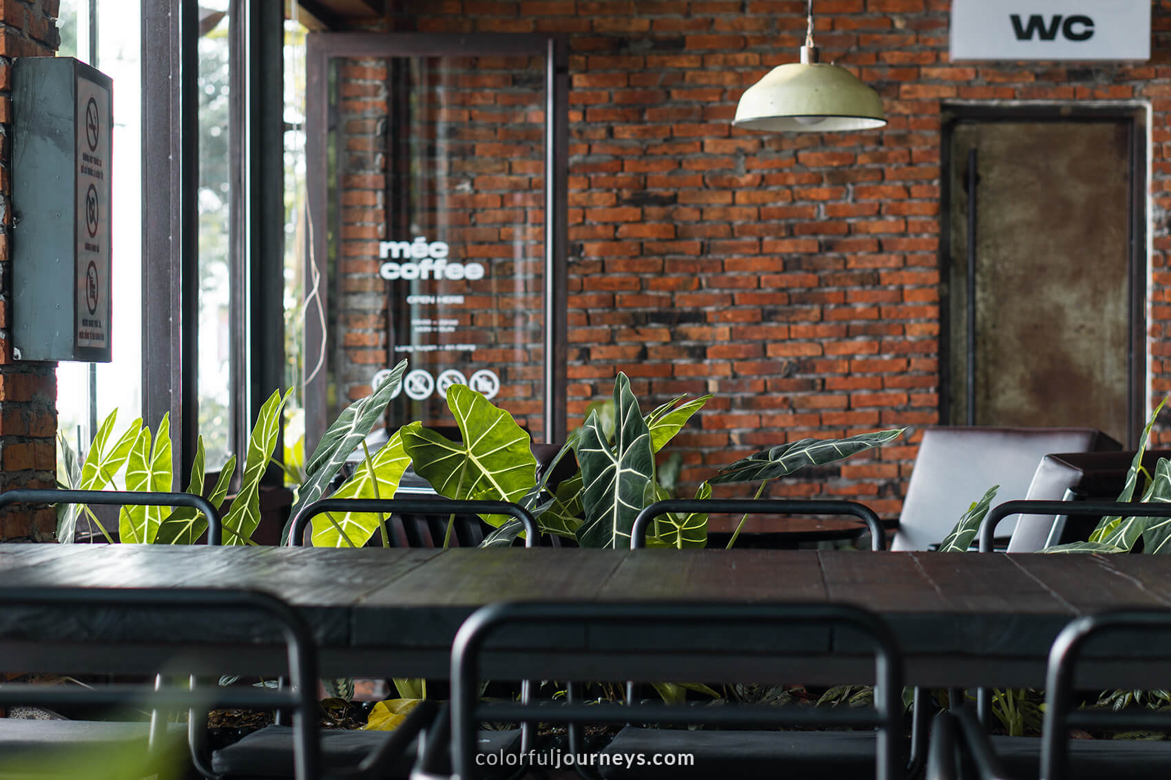 Chairs and plants inside Mec Coffeeshop