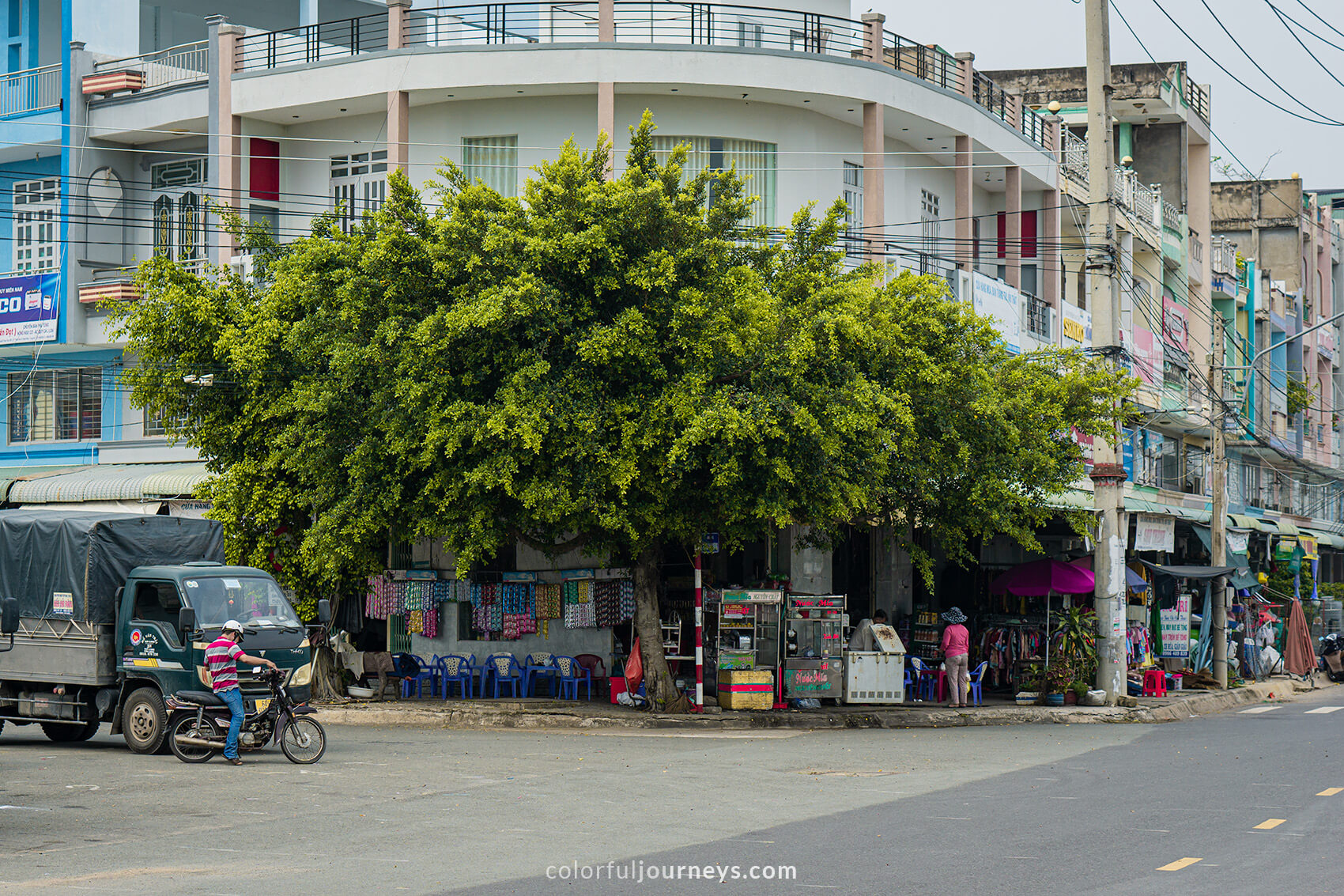 A big tree covers the houses in Long Xuyen, Vietnam