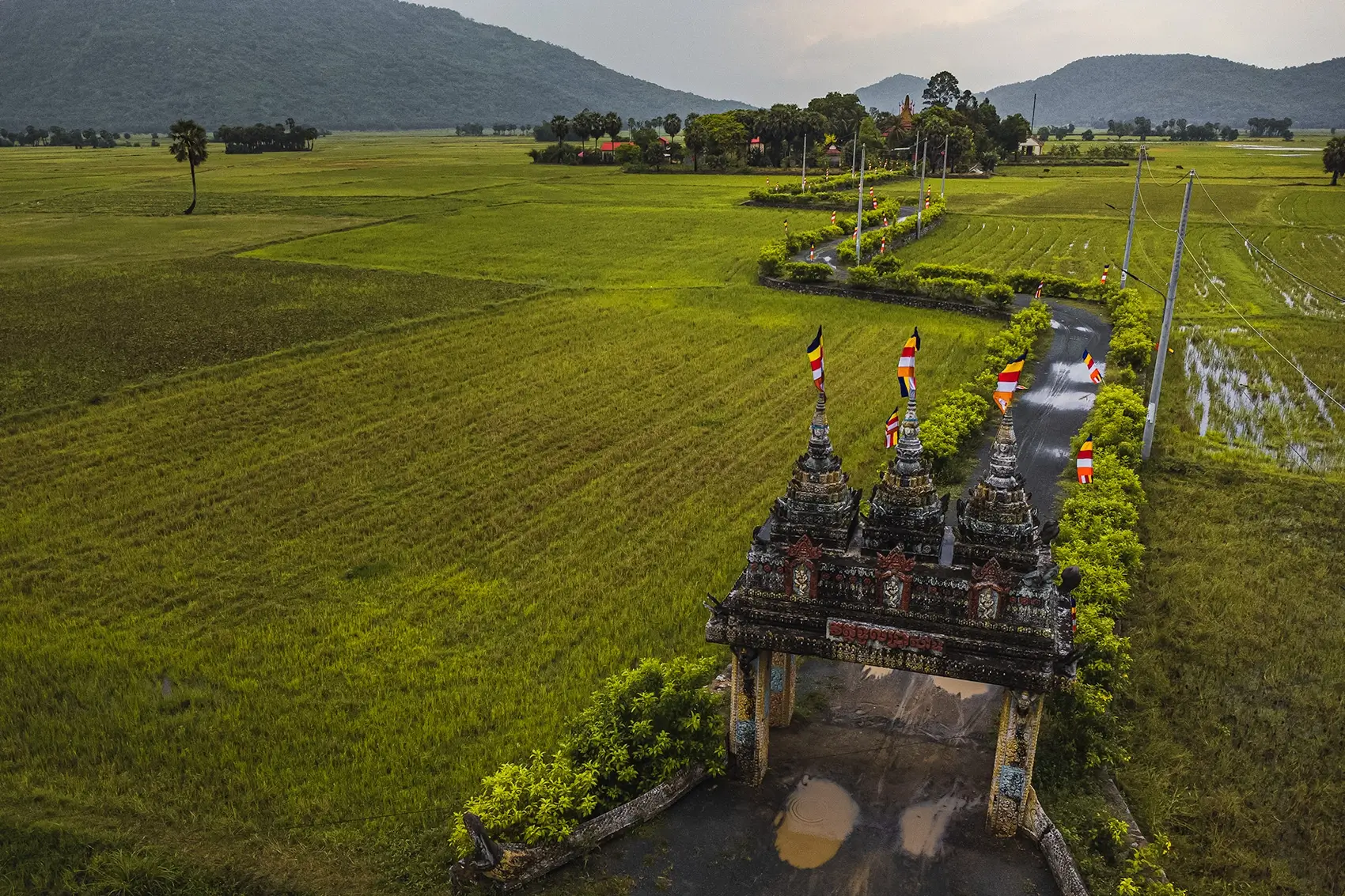 A temple in An Giang surrounded by rice-fields. 