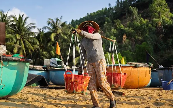 A woman carrying buckets filled with fish on a beach at Xuan Hai, Vietnam