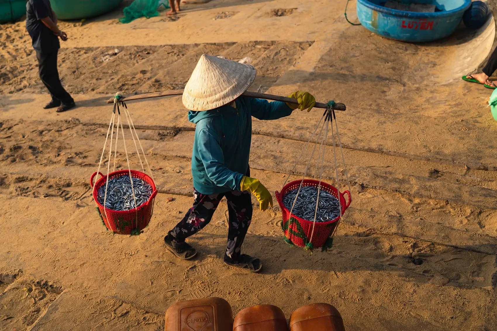 A woman carrying buckets filled with fish on a beach at Xuan Hai, Vietnam