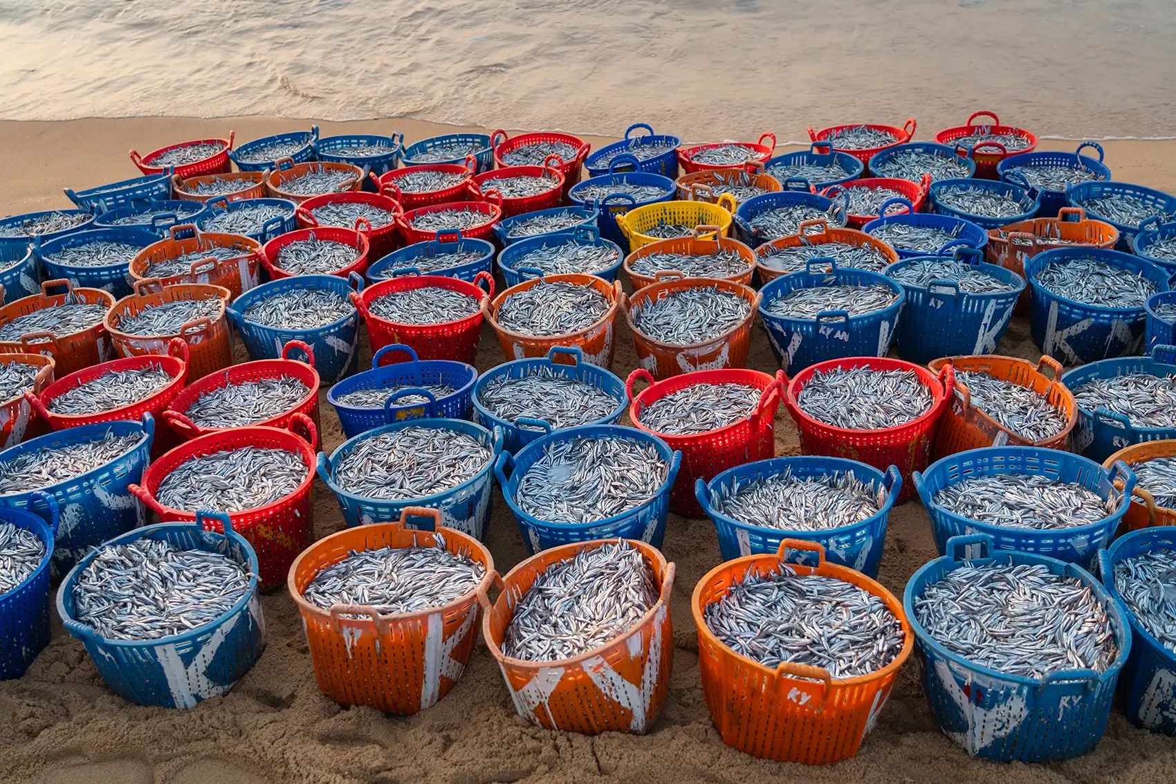 Blue and red buckets filled with fish on a beach in Xuan Hai, Vietnam