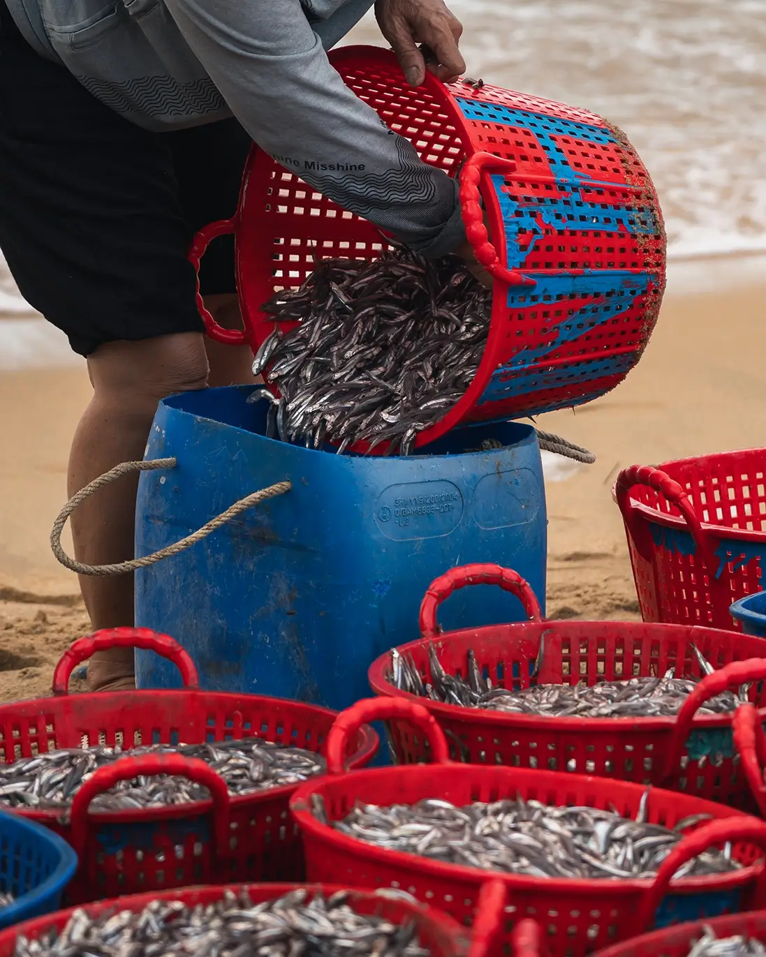 Blue and red buckets filled with fish on a beach in Xuan Hai, Vietnam