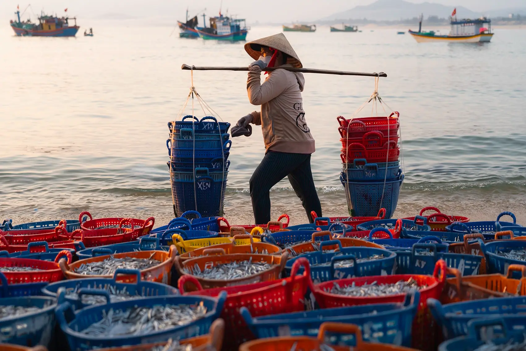 A woman carrying buckets filled with fish on a beach at Xuan Hai, Vietnam