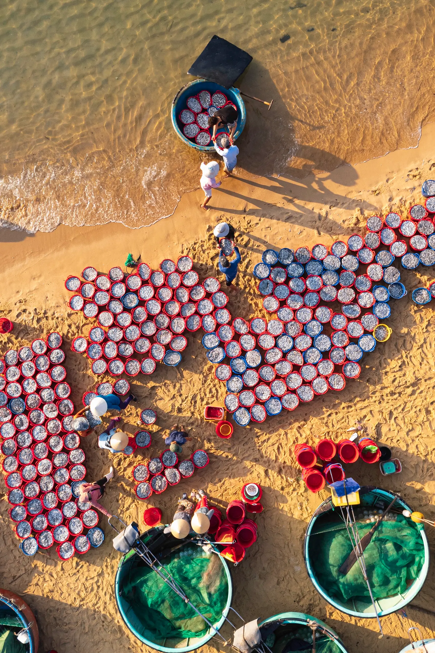 Buckets filled with fish on a beach in Vietnam seen from above