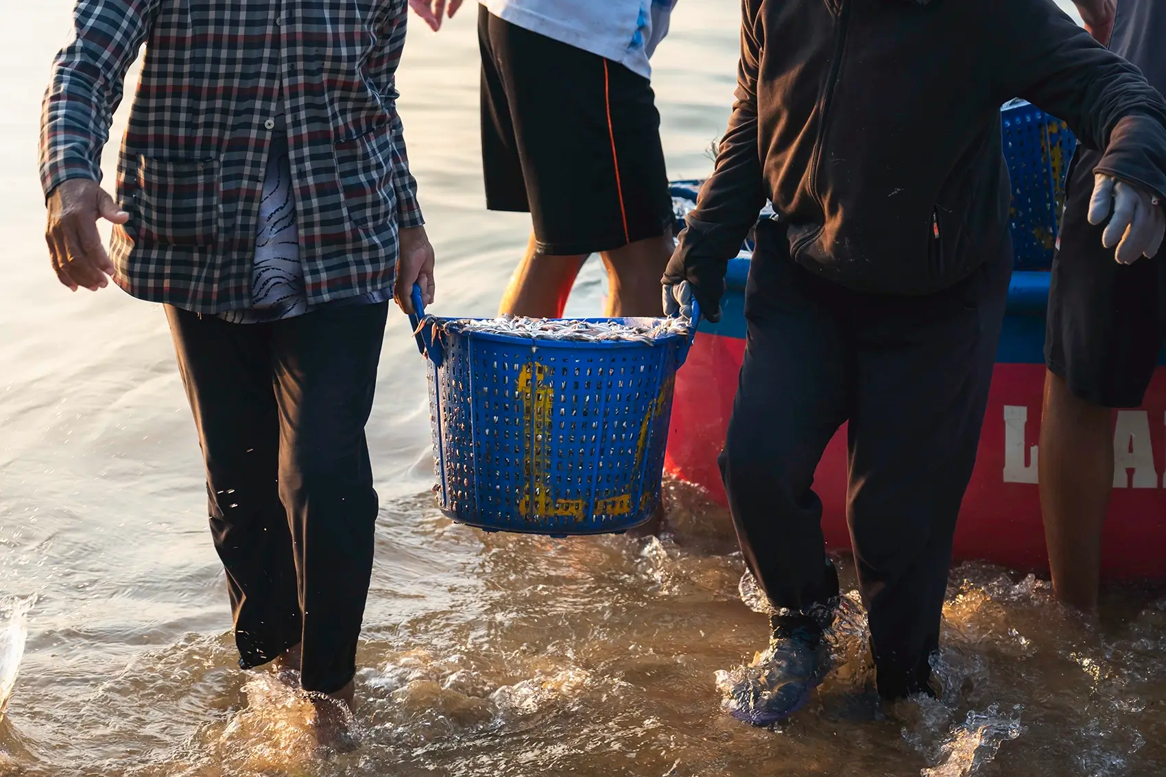 A woman carrying buckets filled with fish on a beach at Xuan Hai, Vietnam