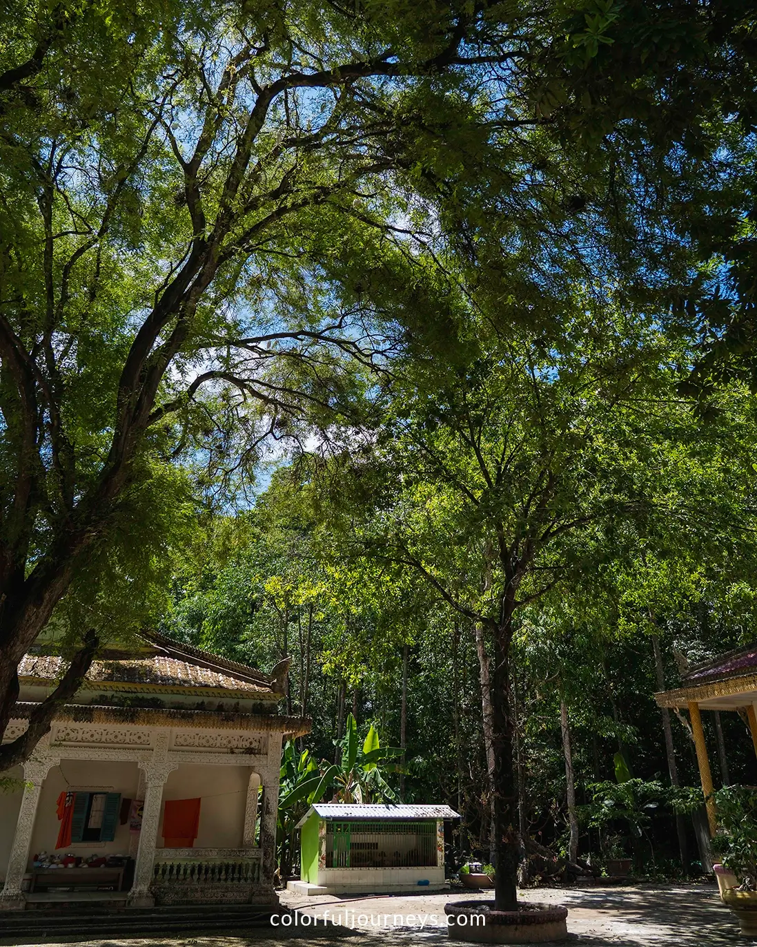 Canopy at Chua Hang in Tra Vinh, Vietnam