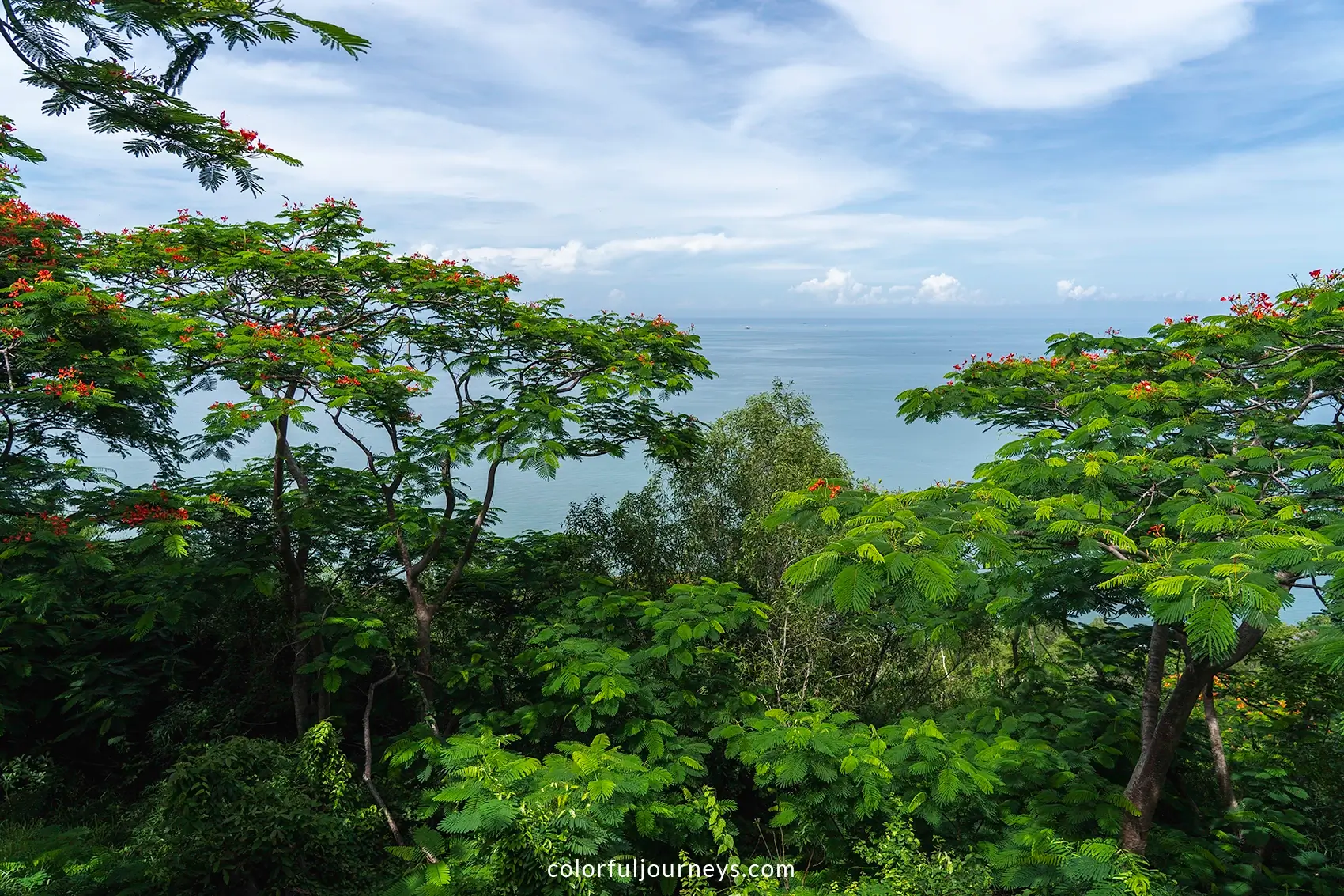 Canopy in Vung Tau, Vietnam